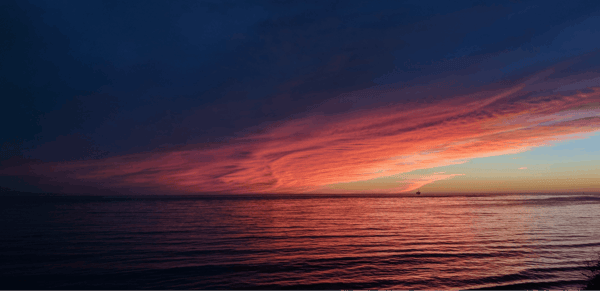 Building a Resilient RIA: The Value of a Business Continuity Plan